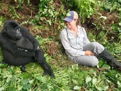 gorilla-habituation-uganda-rwanda