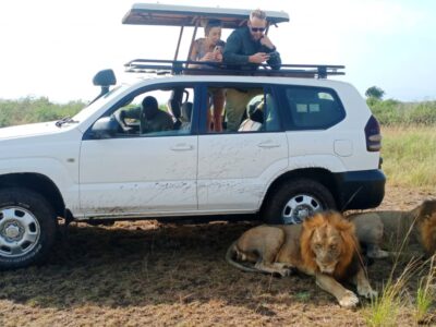 4x4-safari-with-driver