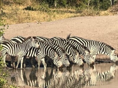 Lake-mburo-safari-tour Lake mburo safari Uganda