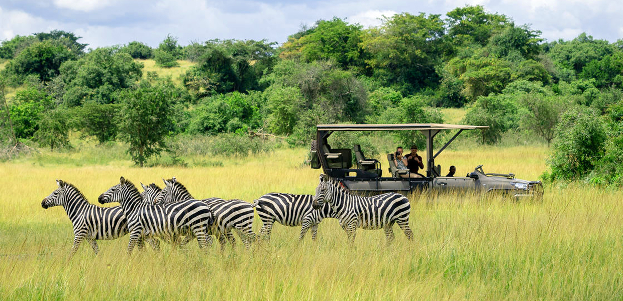 akagera park