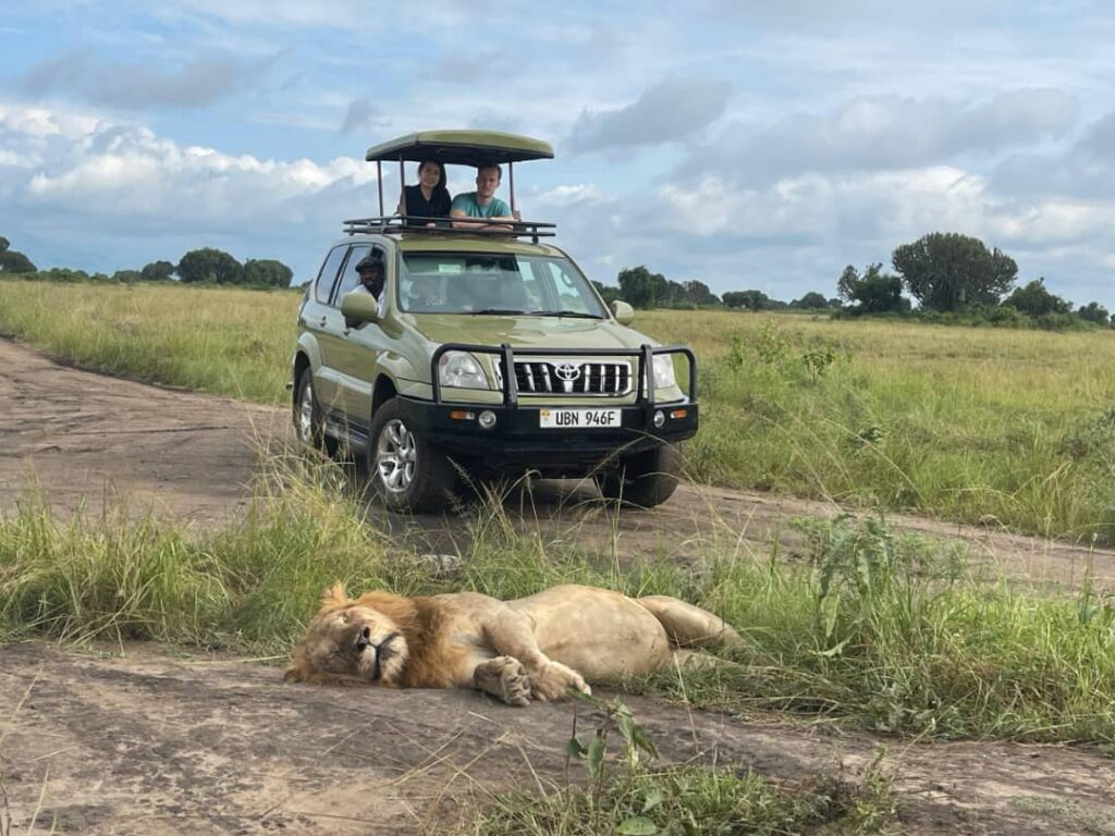 Uganda safari