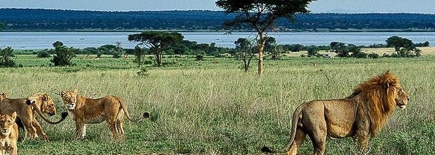 murchison falls park