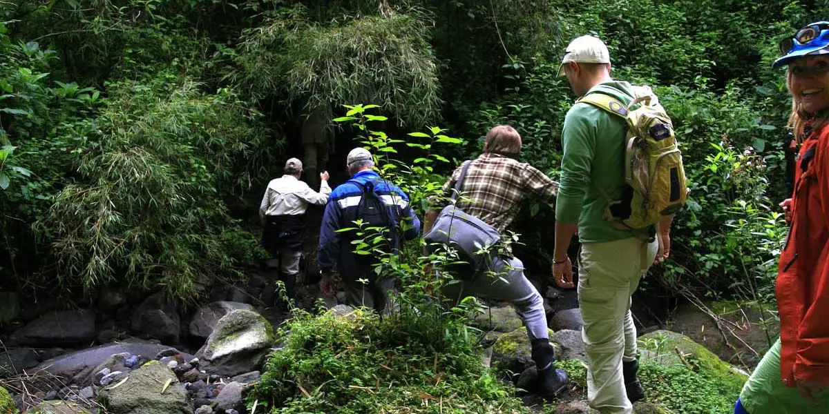 gorilla trekking adventure
