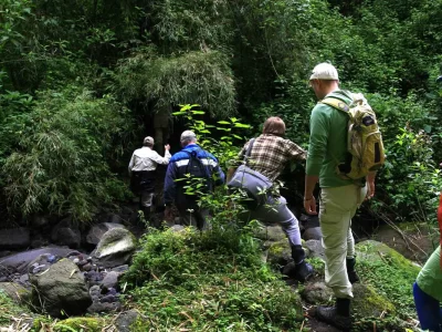 gorilla-trekking gorilla trekking adventure