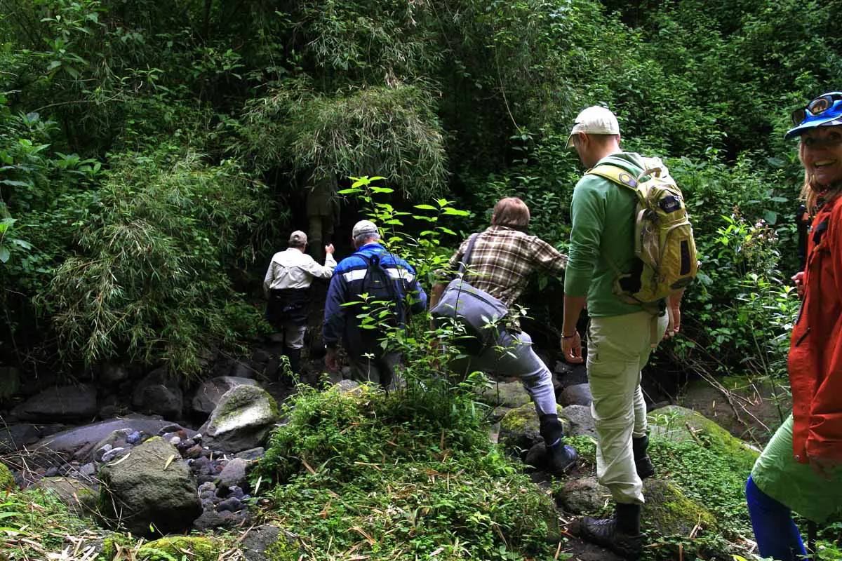 gorilla trekking adventure