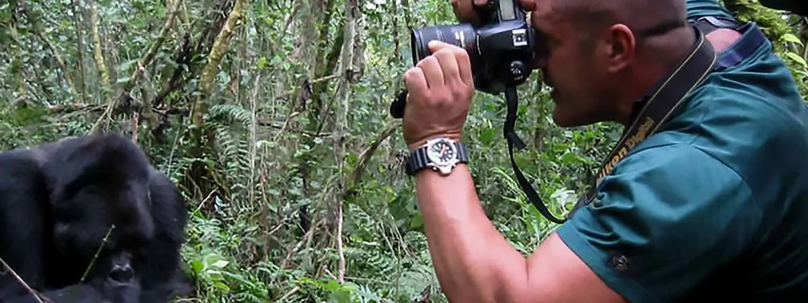 Uganda gorilla tour photography