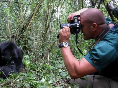 Uganda gorilla tour photography