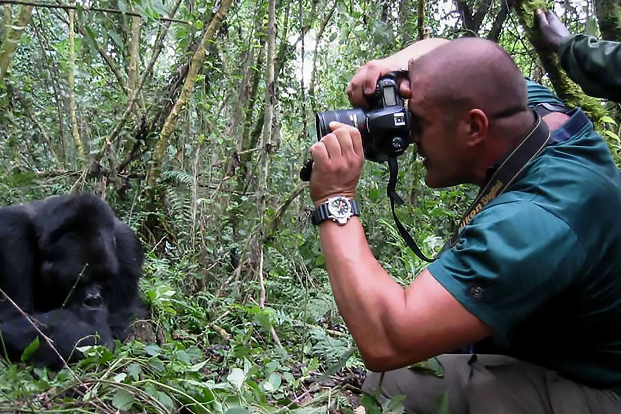 Uganda gorilla tour photography