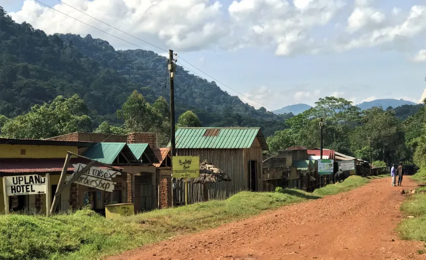Buhoma gorilla trekking region 