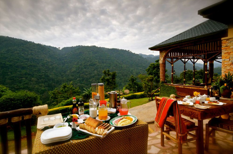 Bwindi luxury safaris