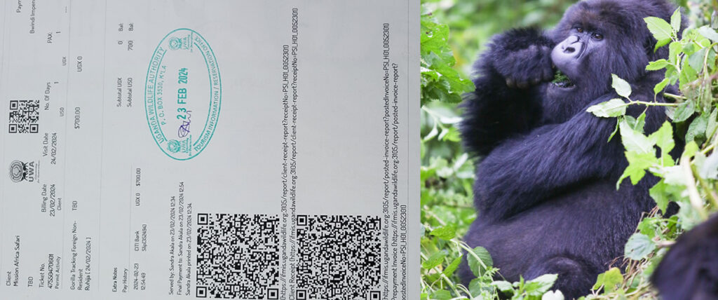 A two-part image: on the left a rotated document with a blue oval stamp and a QR code; on the right a black gorilla seated among green leaves.